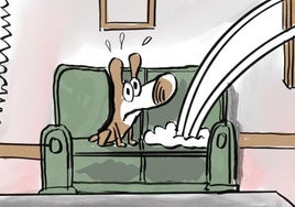 El mes de julio, en las viñetas de Idígoras y Pachi