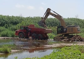 Maquinaria pesada en los trabajos para desmantelar la pasarela sobre el Guadalhorce.