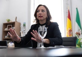 Patricia Navarro, sobre la EDAR Norte: «La Junta respeta el derecho de 20 vecinos, pero defiende el interés de 250.000 malagueños»
