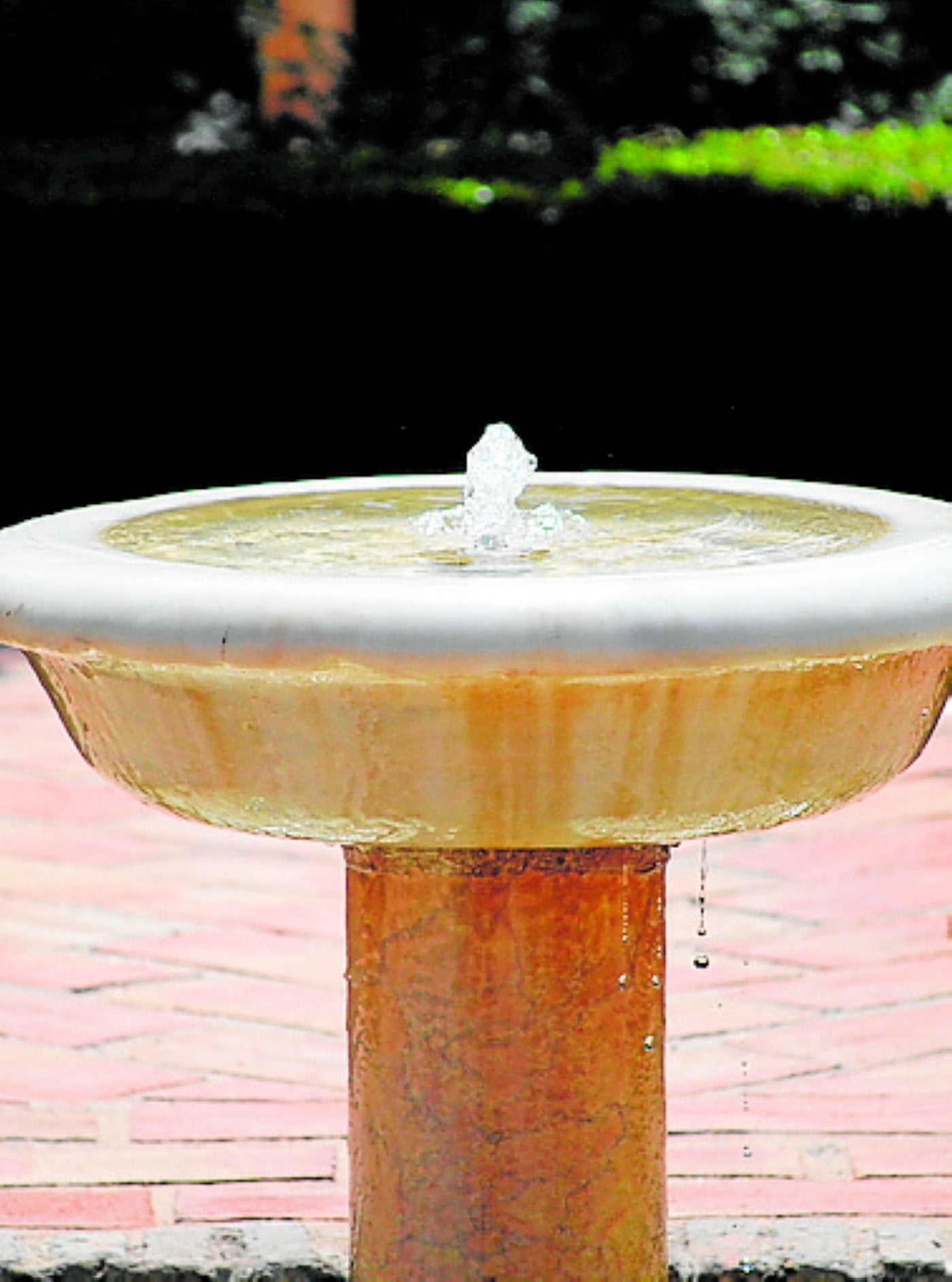Frescor de fuente