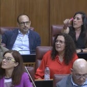 Parlamentarios del Grupo Socialista.