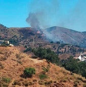 Extinguidos los incendios de Álora, Villanueva de la Concepción, Casares y Moclinejo