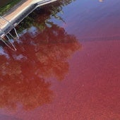 El vaso de la piscina, teñido de rojo.