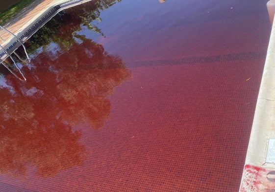 El vaso de la piscina, teñido de rojo.