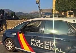 Dos hermanos, acusados del asalto con la técnica del 'mataleón' a un septuagenario en Ronda