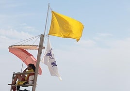 Foto de la bandera amarilla por medusas izada este viernes en Guadalmar.