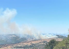 Incendio en la A-377, término municipal de Casares.
