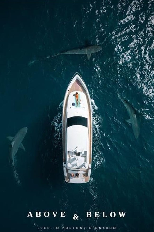 Cártel de 'Above & Below', en el que no faltan los tiburones.