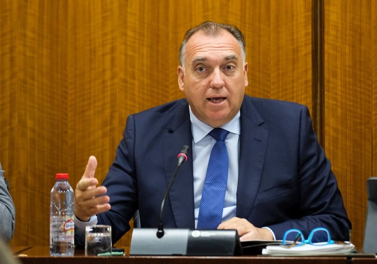 Arturo Bernal, en la comparecencia ante el Parlamento.