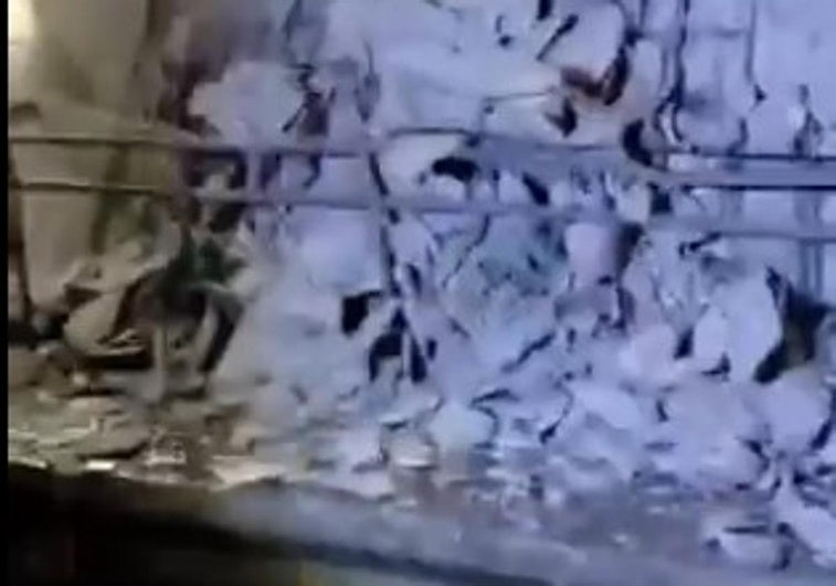 Lugar donde se ha producido el desprendimiento.
