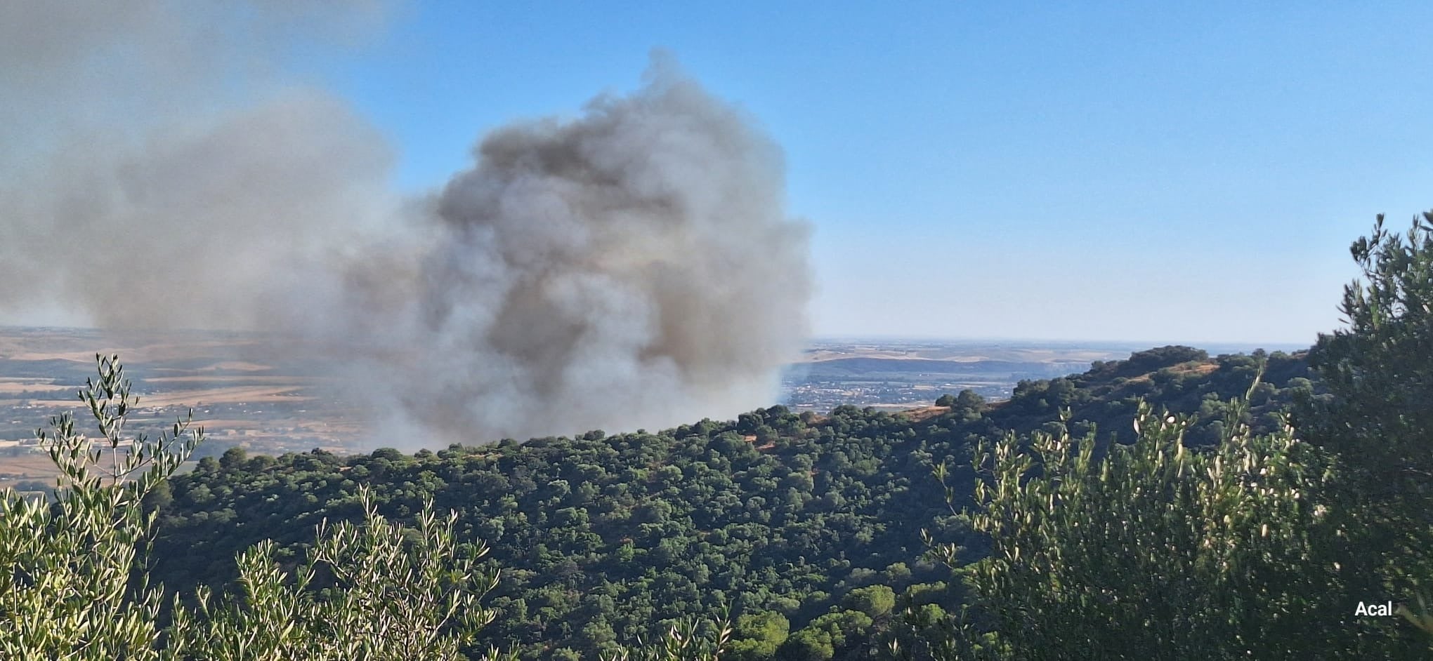 Reactivado de madrugada el incendio que ha obligado a desalojar cien viviendas en la Sierra de Córdoba