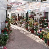 Siete cosas que no hay que perderse durante este verano en una visita a Torrox