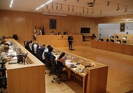 El alcalde de Alhaurín el Grande, Anthony Bermúdez, interviene en el pleno de la Diputación de Málaga.