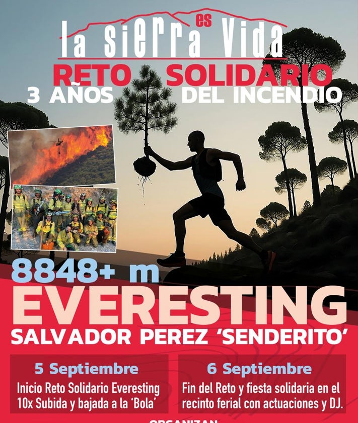 Imagen secundaria 2 - SUR