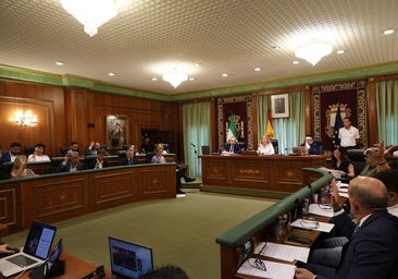 El Ayuntamiento de Marbella ha acogido hoy su pleno correspondiente al mes de julio.