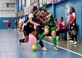 Revolución en el Atlético Torcal: ocho fichajes para mantenerse en la élite