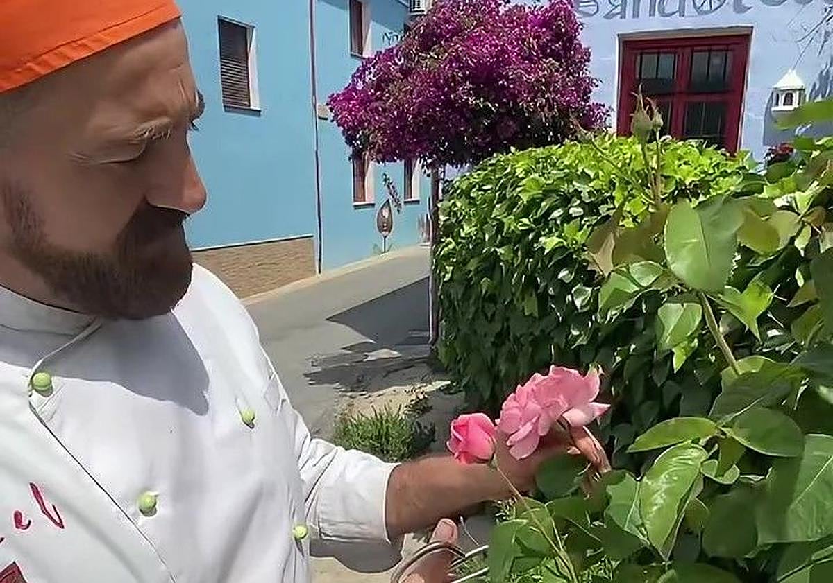 Imagen principal - El chef de la castaña saca partido también a las hojas y a las flores en la provincia de Málaga
