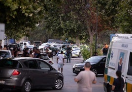 Hallan muerto a su padre desaparecido en Mijas y lo detienen por matar a otro familiar