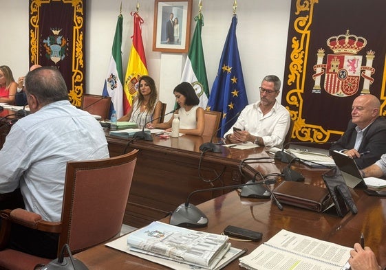 El Pleno del Ayuntamiento de Mijas reunido este miércoles 30 de julio.