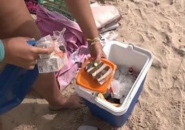 Neveras de playa: todo lo que debes saber para evitar intoxicaciones
