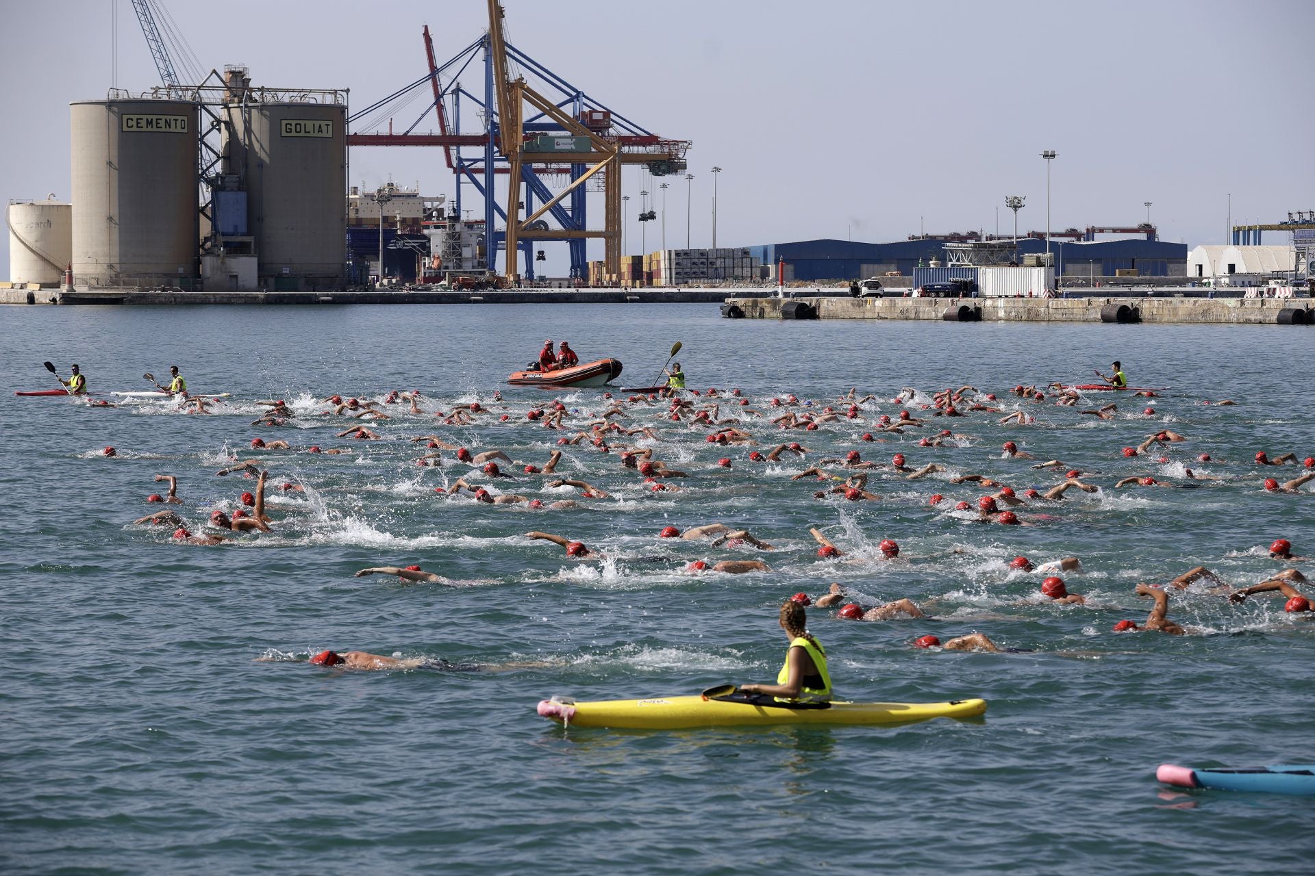 Travesía a nado del puerto, edición 65: más que un deporte, un estilo de vida