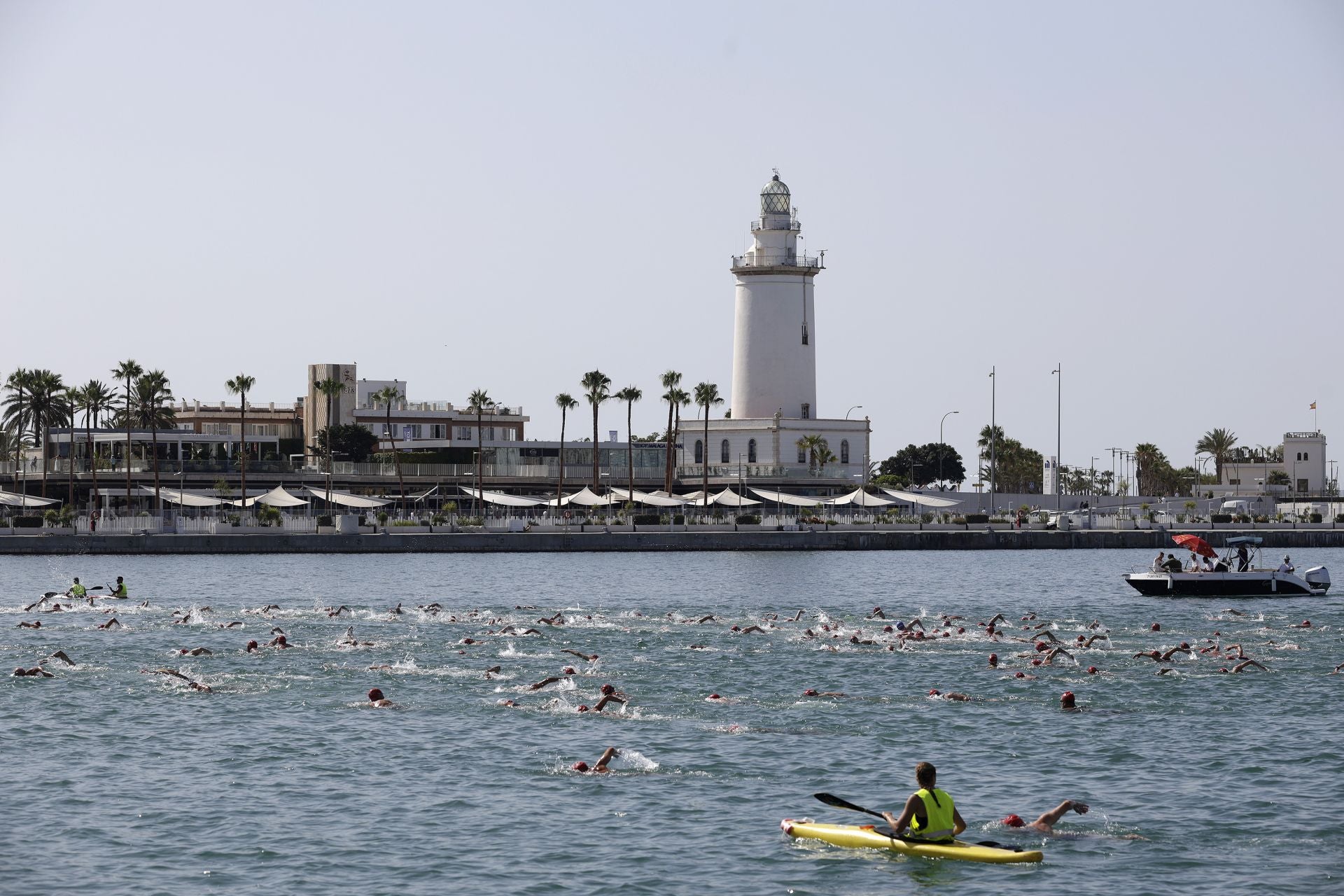 Travesía a nado del puerto, edición 65: más que un deporte, un estilo de vida