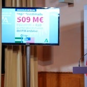 Carolina España, este lunes tras el último Consejo de Gobierno del curso político.