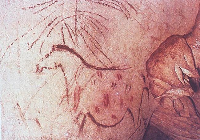 Pintura rupestre en la Cueva de la Pileta