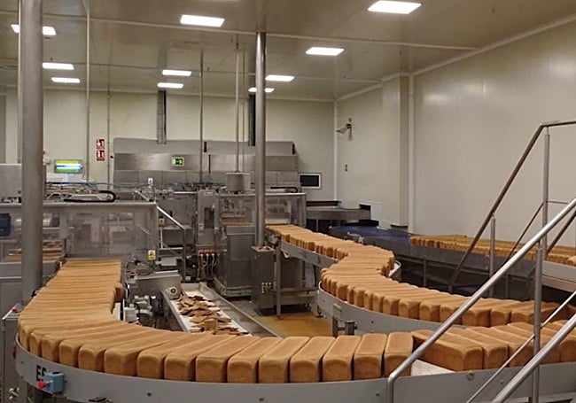 Instalaciones de Morato Iberia.