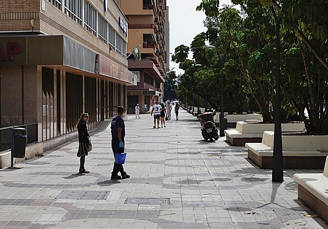 Aspecto actual de las aceras de la avenida.