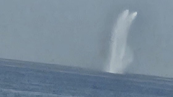 ¿Qué es el chorro de agua que se ha podido ver en el mar frente al Morlaco en Málaga?