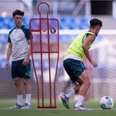 Aarón Ochoa y Larrubia, este jueves en La Rosaleda.