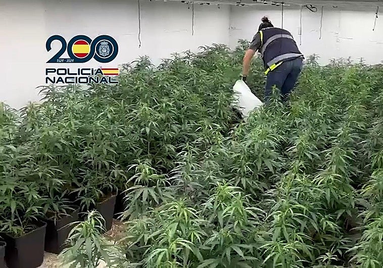 Los agentes han requisado un arma de fuego y tres detonadoras, 11 vehículos de alta gama, seis relojes de lujo y efectos relacionados con la actividad delictiva.