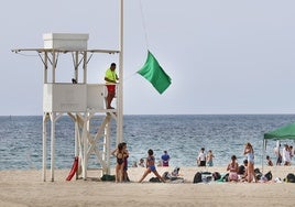 El servicio de vigilancia y socorrismo de las playas de Marbella.