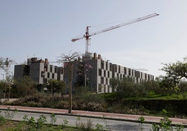 Promoción de 84 VPO de alquiler construida por el Ayuntamiento al oeste del campus de Teatinos.