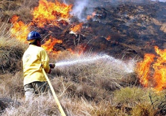 Andalucía creará dos nuevas unidades operativas en la lucha contra incendios