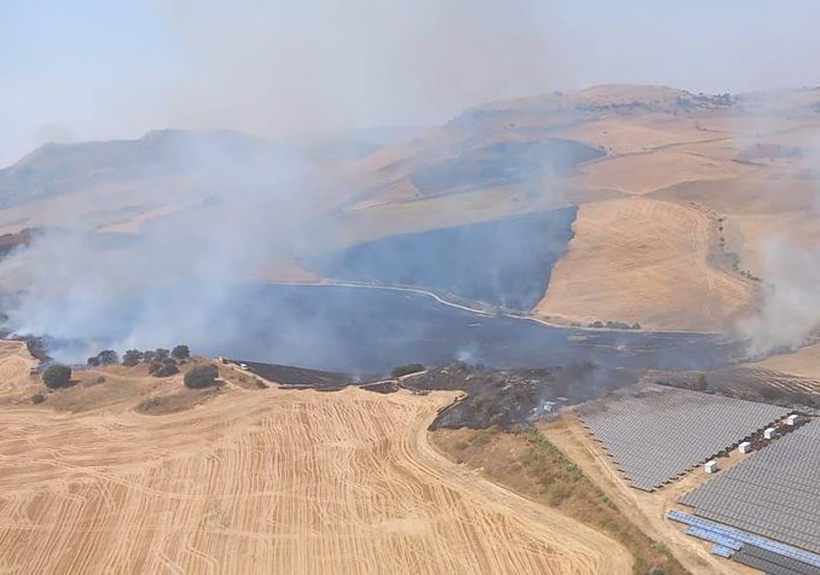 Declarado un incendio forestal en Ronda