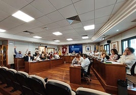 Imagen de la sesión plenaria celebrada este martes 12 de agosto.