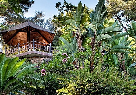 Siete cosas que no hay que perderse durante este verano en una visita a Torremolinos