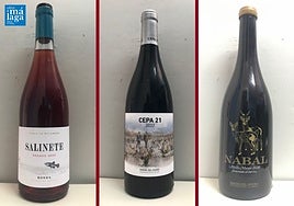 La cata: los vinos recomendados de la tercera semana de agosto