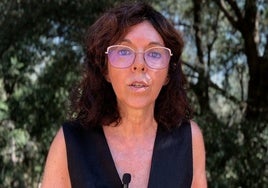 El PSOE-A pide explicaciones a la Junta por el aumento de muertes a causa de los golpes de calor