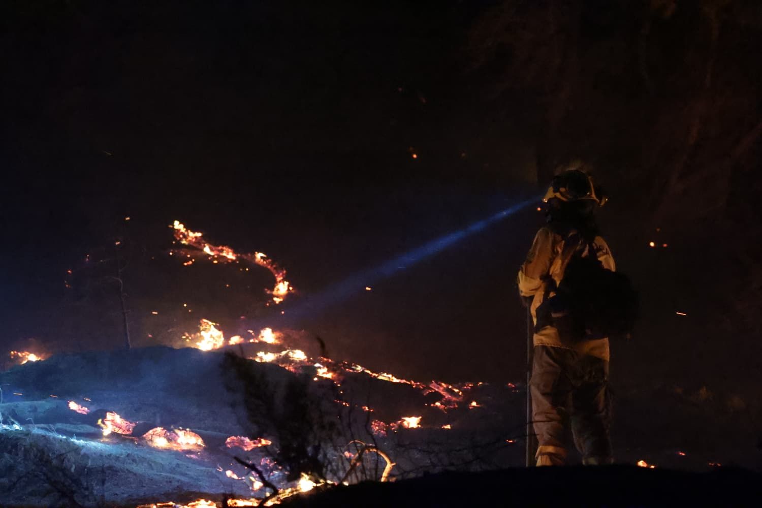 Incendio forestal en el Cerro de la Tortuga de Málaga capital