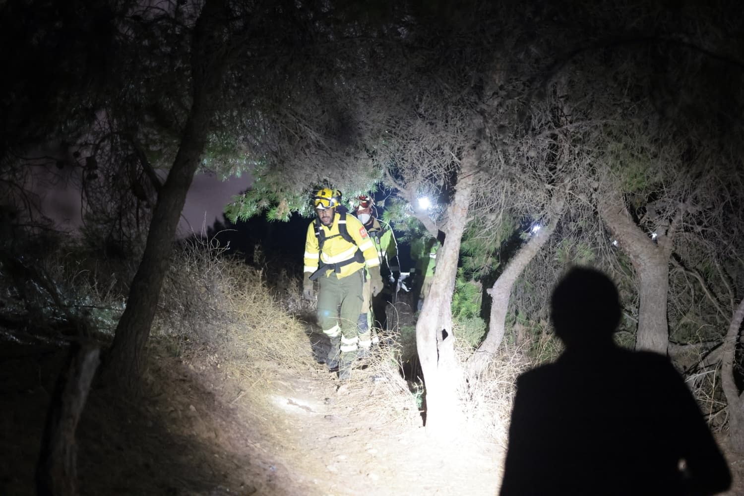 Incendio forestal en el Cerro de la Tortuga de Málaga capital