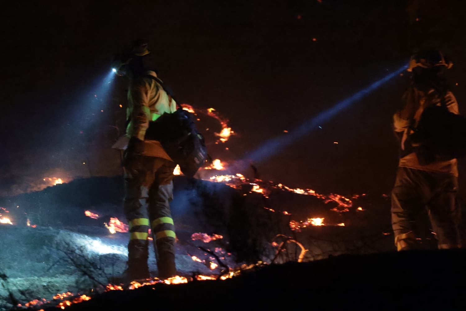 Incendio forestal en el Cerro de la Tortuga de Málaga capital