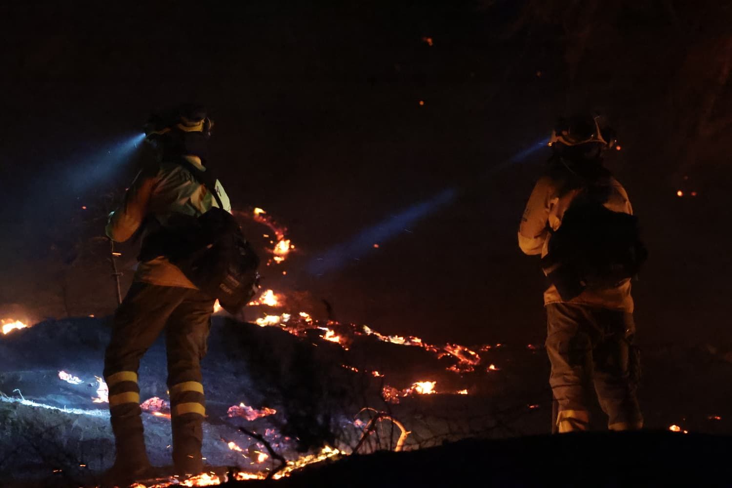 Incendio forestal en el Cerro de la Tortuga de Málaga capital