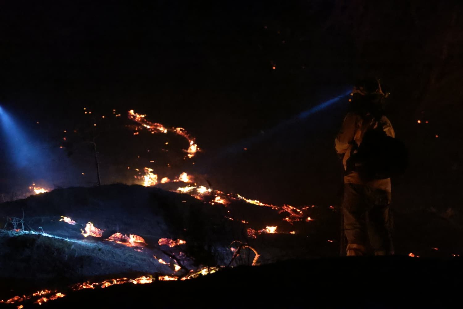 Incendio forestal en el Cerro de la Tortuga de Málaga capital