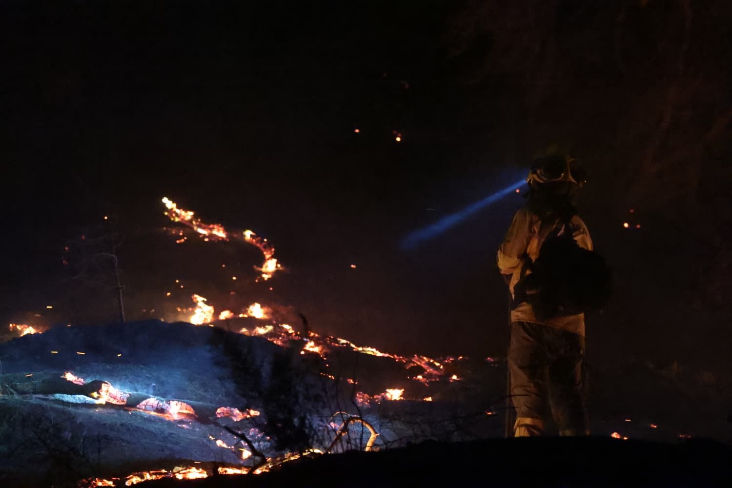 Incendio forestal en el Cerro de la Tortuga de Málaga capital