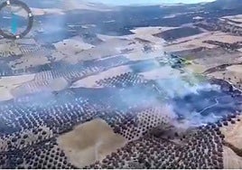 Imagen del fuego compartida por el Infoca.