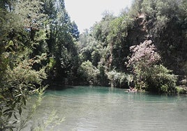 Siete cosas que no hay que perderse durante este verano en una visita al Bajo Genal