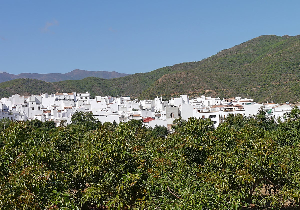 Vista del municipio de Istán, uno de los 17 pueblos que participan en el plan 'CONVIVE'.